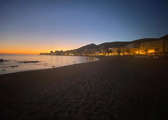 2 Pieces / Neuf - Centre - Place Miot / 1er