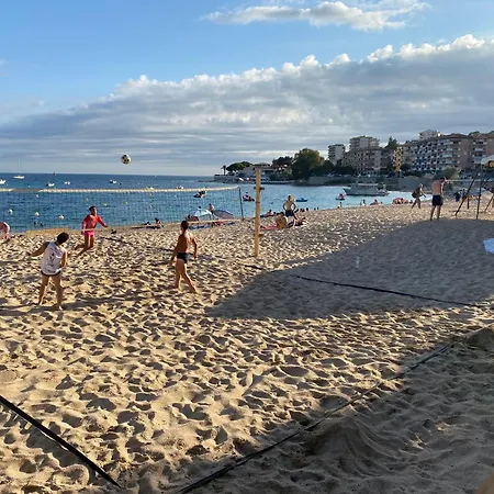 2 Pieces / Neuf - Centre - Place Miot / 1er *