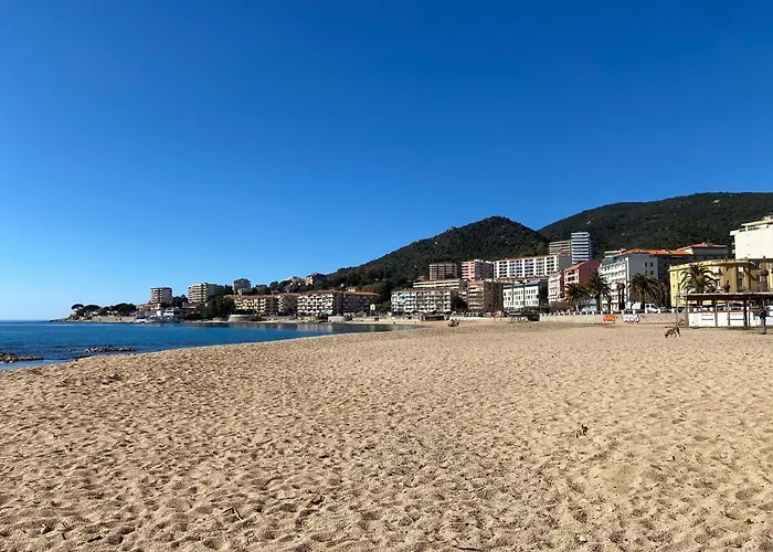 Lägenhet 2 Pieces / Neuf - Centre - Place Miot / 1er