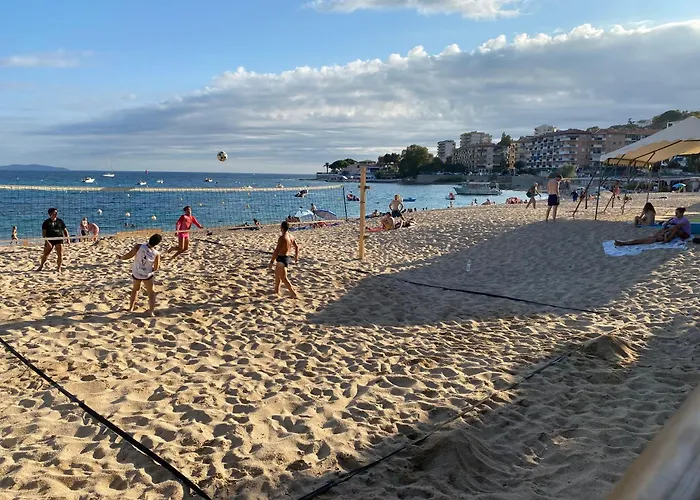 2 Pieces / Neuf - Centre - Place Miot / 1er *